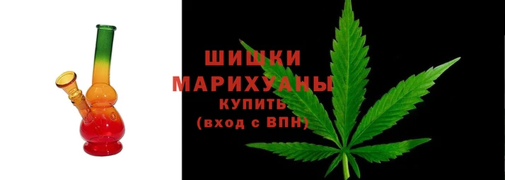 шишки Богородск