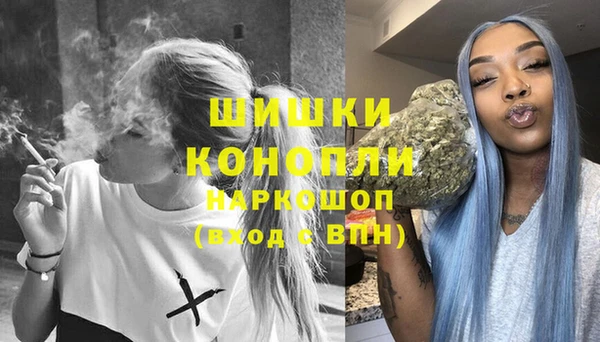 шишки Богородск