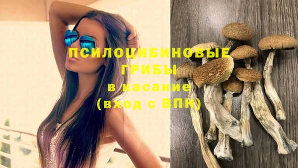 шишки Богородск