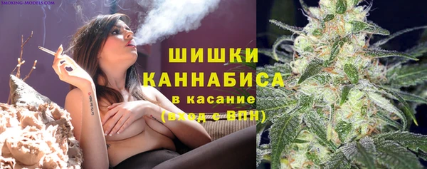шишки Богородск