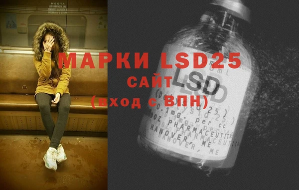 шишки Богородск