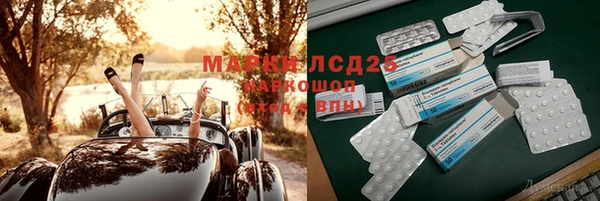 шишки Богородск