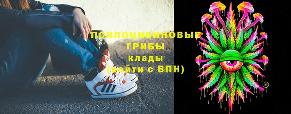 шишки Богородск