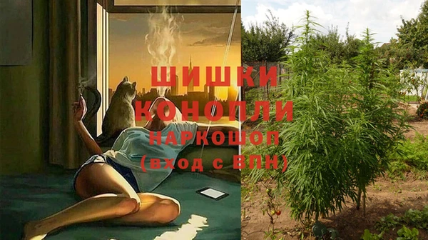 шишки Богородск